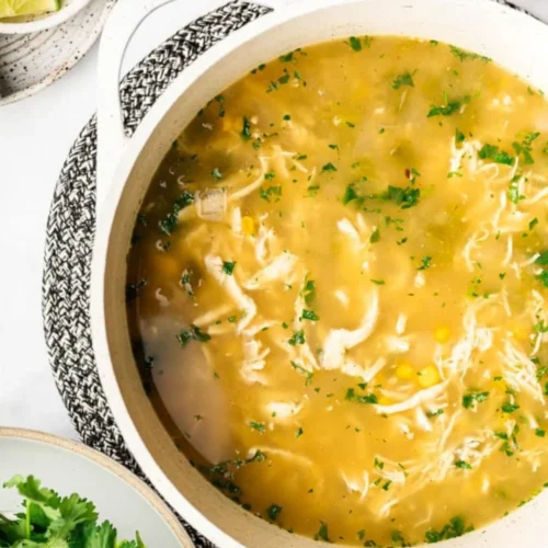 Salsa Verde Chicken And Rice Soup