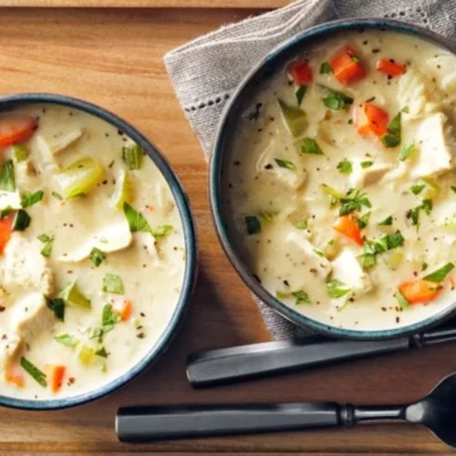 Chicken Leek And Rice Soup