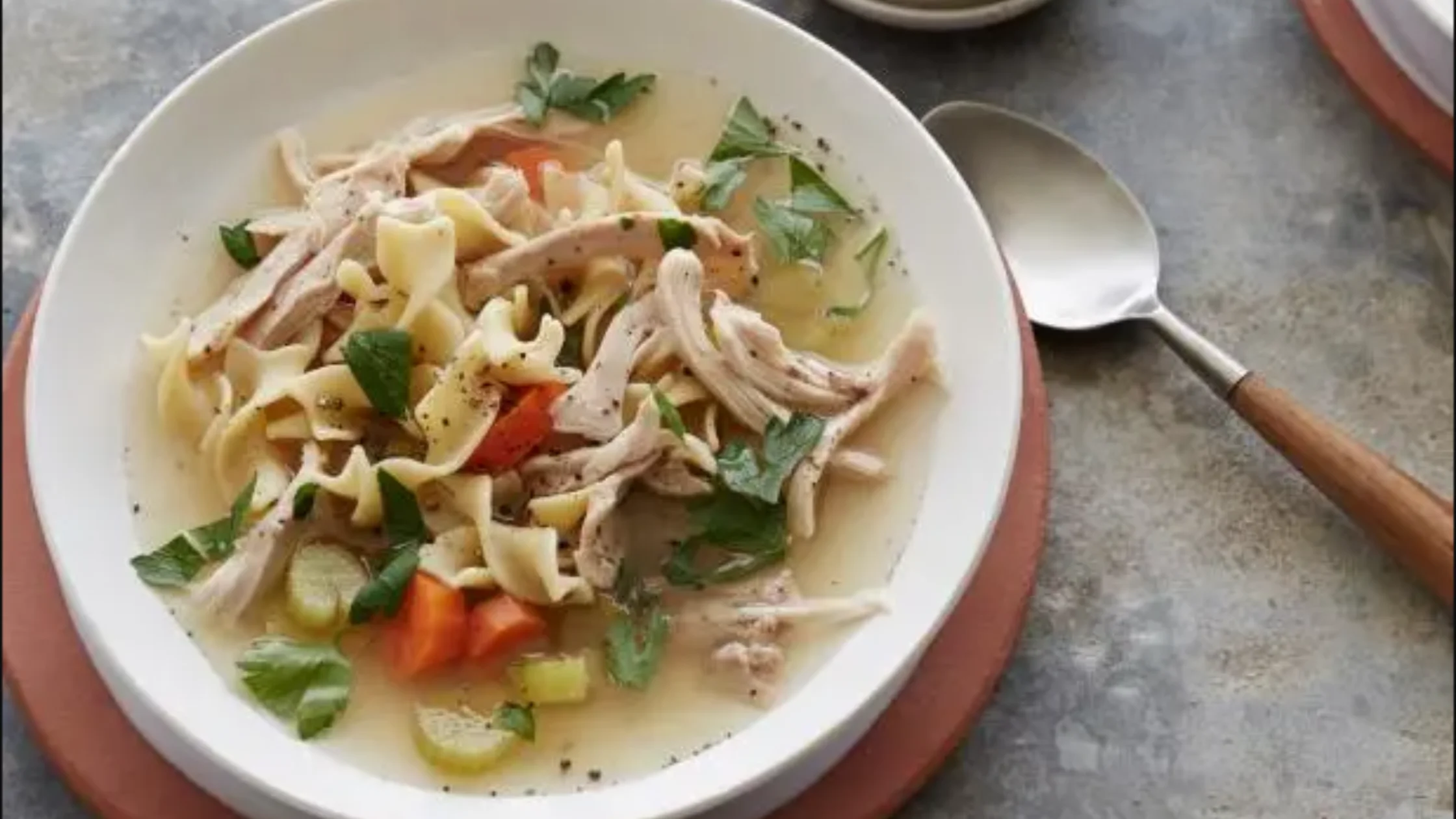 Ninja Chicken Noodle Soup