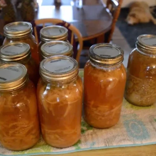 Canning French Onion Soup Recipe